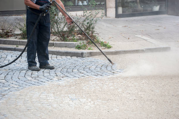 Best Roof Washing  in Lakeside, CA